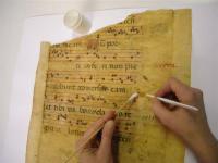 carta