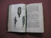 carta